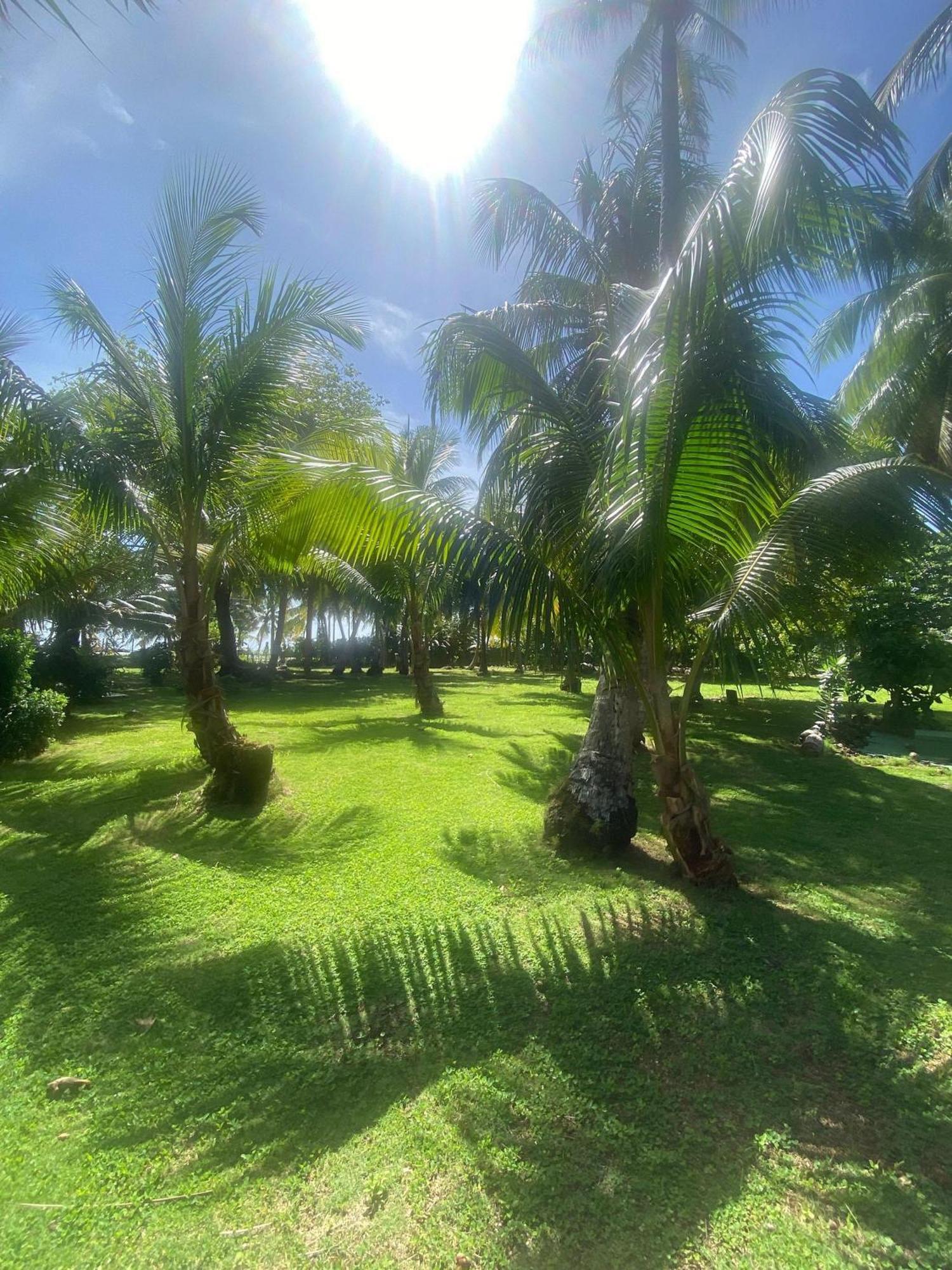 San Andrés South End Villas - Apartamentos Paradisiaco En El Caribe Colombiano מראה חיצוני תמונה